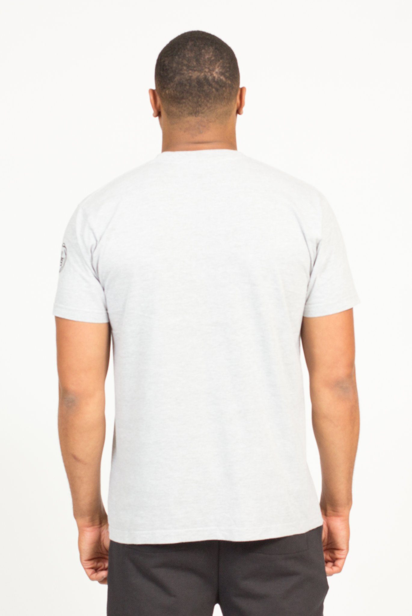 PLRB LOGO T-SHIRT IN HEATHER GREY | Poor Little Rich Boy Clothing